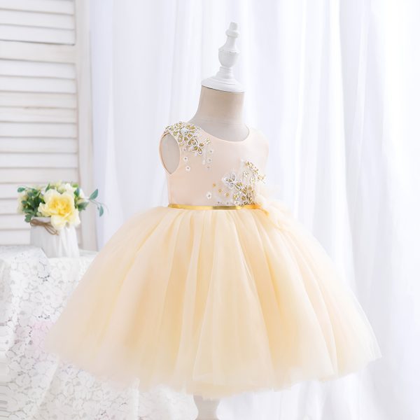 Princess Dress 2024 New Collection TFS-24100003Y